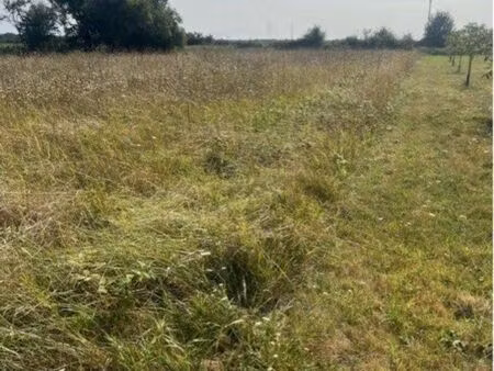 terrain 2270m2