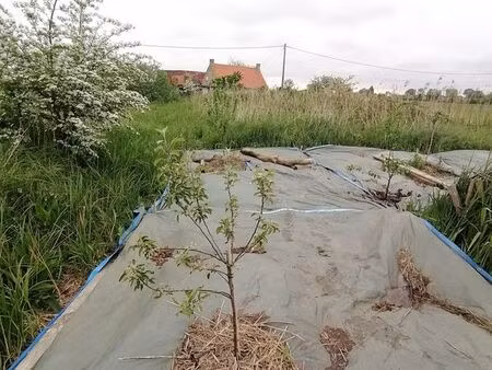 vends terrain de loisirs transformé en verger
