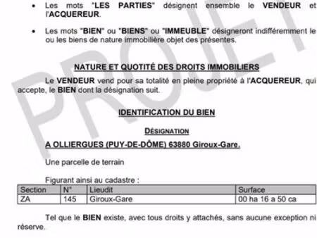 parcelles de forêt