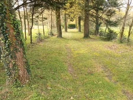 terrain de loisirs