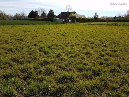 terrain 861 m² trept