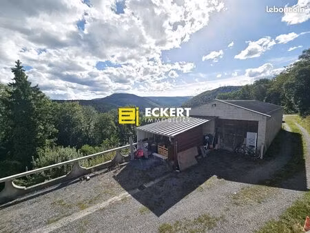 terrain 760 m² heiligenberg