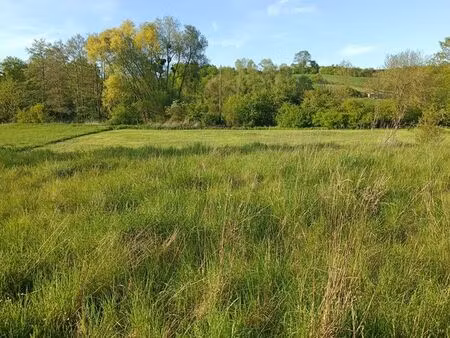 terrain constructible 6 8 ares – hors lotissement – vue arrière dégagée non constructible
