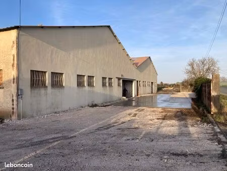 local 163 m2