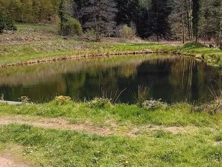 etang de pêche