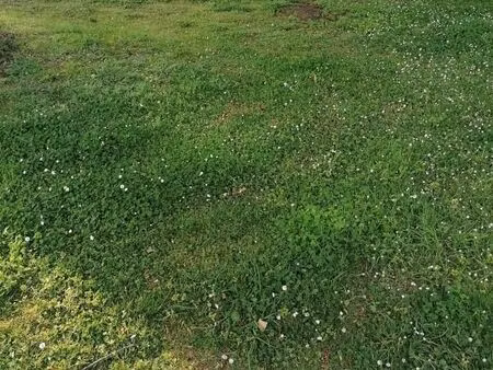 terrain 309 m² inzinzac lochrist