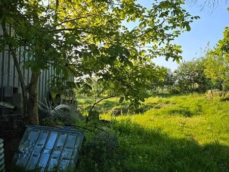 terrain constructible
