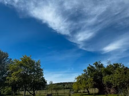 terrain constructible 815 m² – arboré  calme  proche amboise