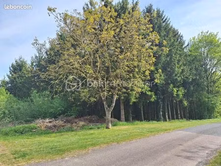 terrain 4 240 m² ancerville