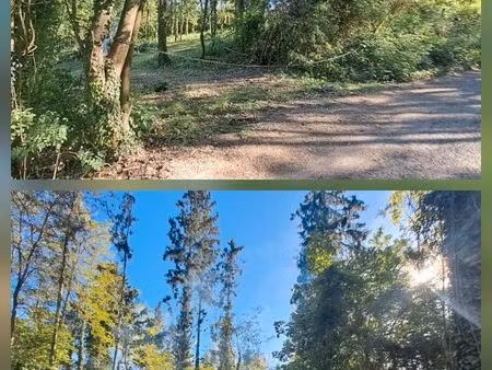 beau terrain de 41ares pres de molsheim/mutzig