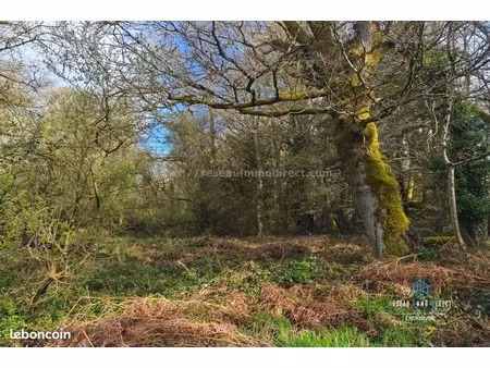 terrain 6 700 m² priziac