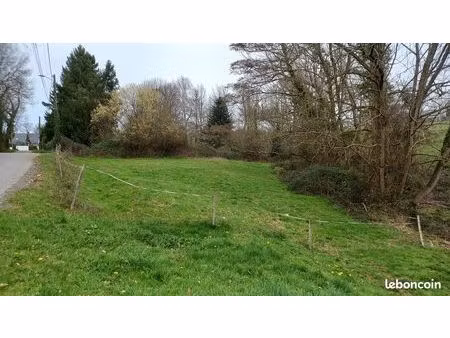 terrain constructible