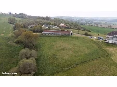 terrain 8 000 m² momas