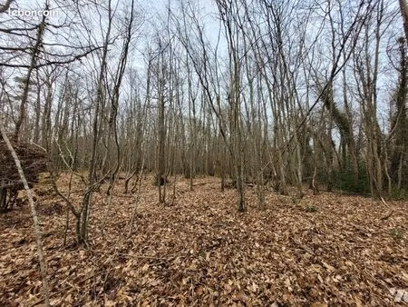 terrain 100532 m² l hermitiere