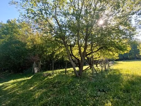 terrain de loisirs - verger