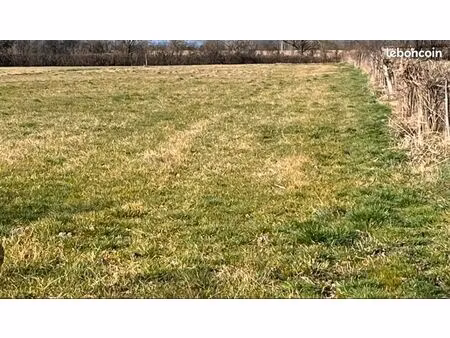 terrain 2.000m2