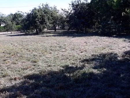 terrain constructible (1 ou 2 lots)