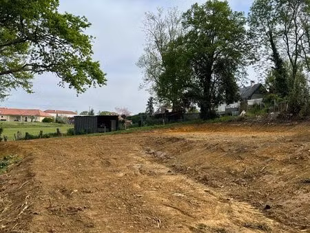 terrain constructible
