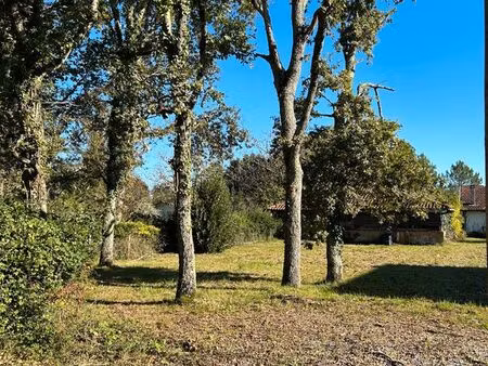 terrain constructible viabilisé