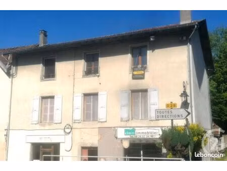 immeuble 330 m² saint geoire en valdaine