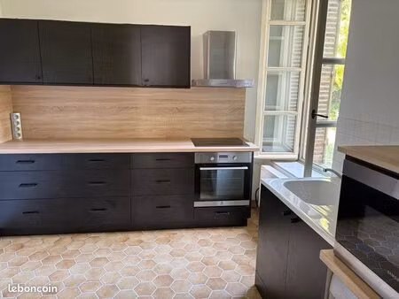 grand appartement plein centre