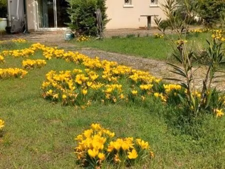maison 92 m2 sur sous-sol terrain 769 m2