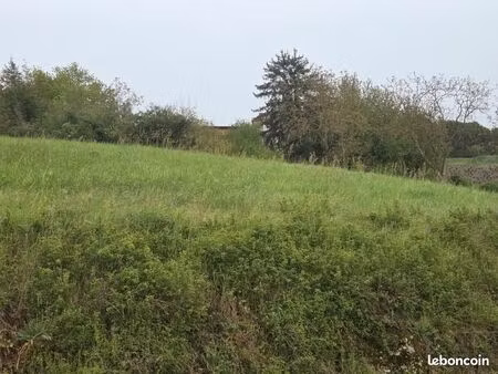 terrain d'agréement - 3.790 m² - 69620 ternand