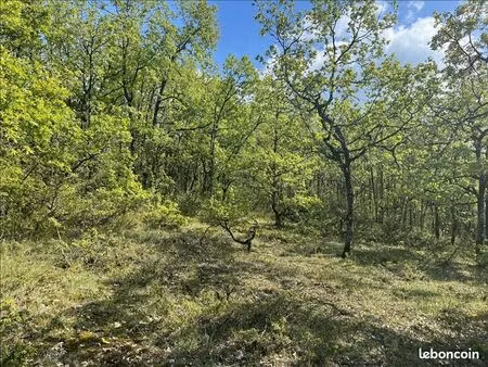 terrain 5 047 m² cuzance