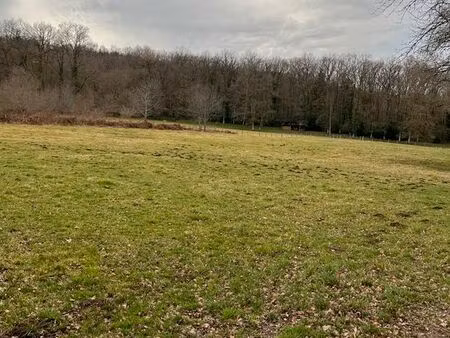beau terrain 1 hectare