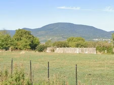 terrain de construction à zellwiller
