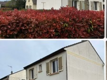 maison à louer / chalons en champagne