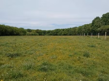 propriété equestre