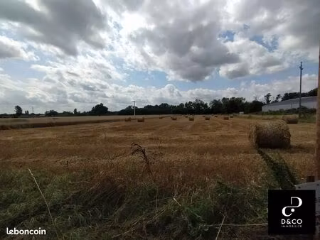 terrain 5537 m² la chapelle-de-guinchay