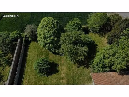 terrain 1000m2
