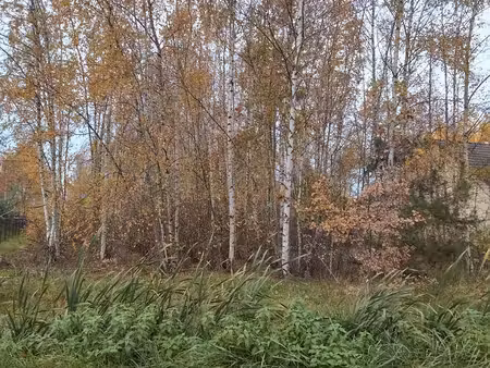 loue terrain 200 m2 mesland: 150 e / mois