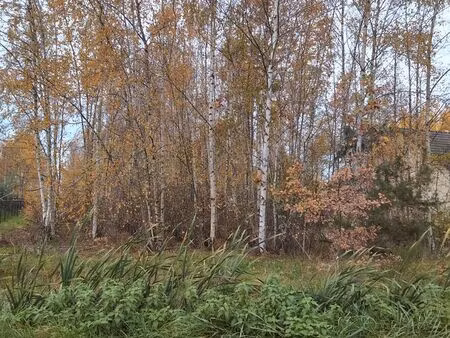 loue terrain 200 m2 mesland