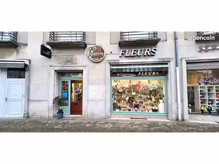 commerce 66 m²