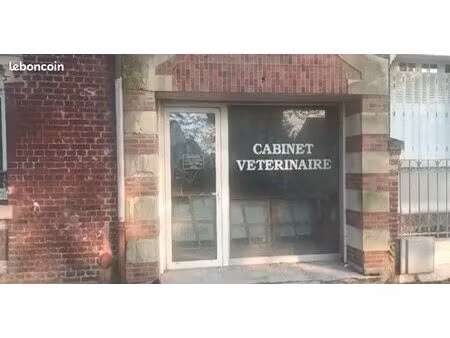 local commercial a louer
