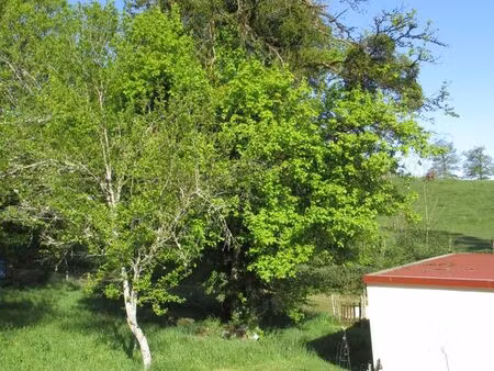 terrain à vendre