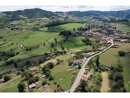 terrain constructible 1 hectare - 85/m2