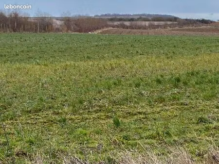 terrain 900 m² frencq