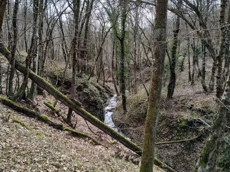 terrain de loisir boisé 2ha