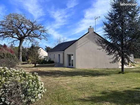 maison plain-pied 130m2 double garage - 3200m2 - 4 chambres- erbray quartier la vallée