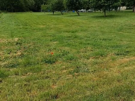 terrain 1004 m² st ulphace