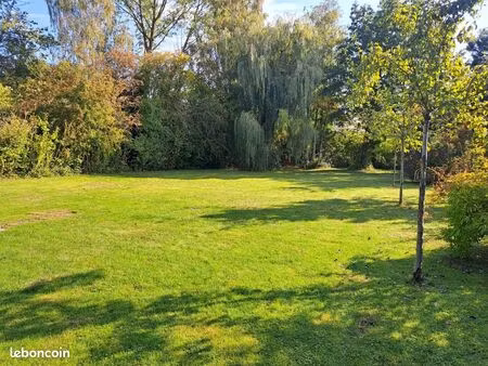 terrain 1 000 m² willems
