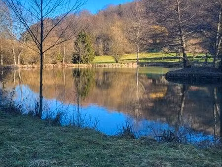 terrain avec etang