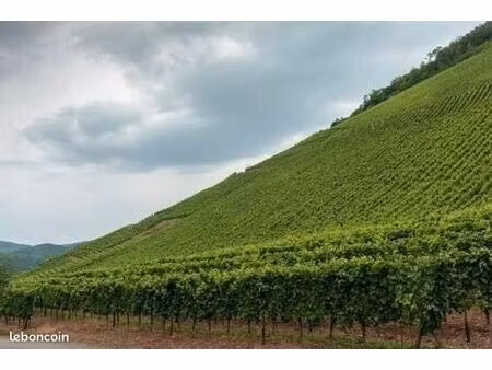recherche terrain agricole non exploitable