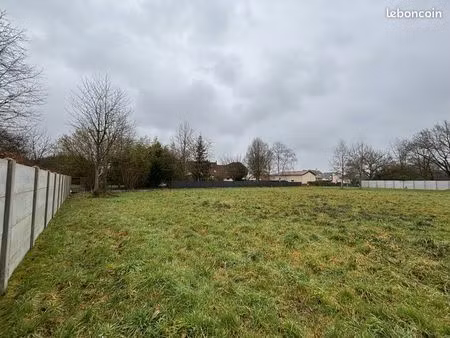 terrain constructible