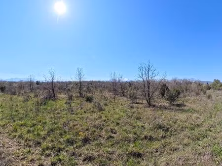terrain proche des habitations
