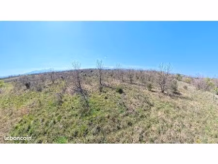 terrain proche des habitations